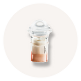 PROTOCOLE BRIGHTENING・ÉCLAT, GRAIN DE PEAU, UNIFORMITÉ